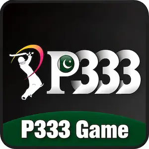 P333 Game Image